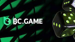 Todo lo que necesitas saber sobre BCGame 8