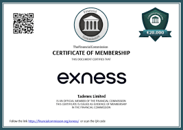Understanding Proxy Server Exness Your Ultimate Guide Understanding Proxy Server Exness Your Ultimate Guide